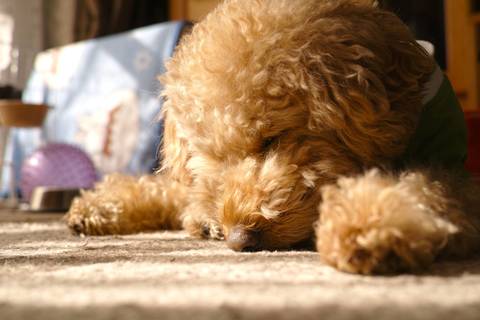 C6563cd2382225b741167c1042f0c7ed