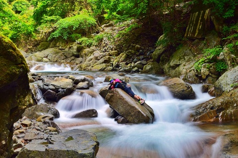 2dd4a9d5efd97584f50f5a5dccb56c7b