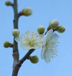 215b3286e40f2b8daa7f6dbb48b18fbb