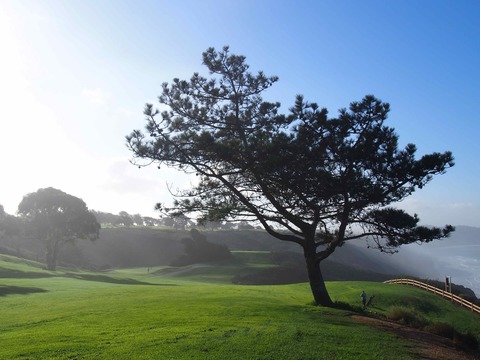 D3c54f0dea284ce0111f5428a3c3f3a7