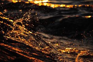 5929daa8c64dce50755df6dba9c58595