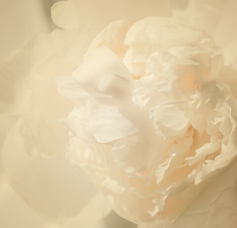 Ca86a02ccc1074d5cdf71d568721bd2d