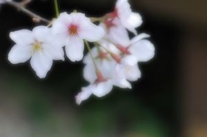 85524c958b604eb8e83ca725a9fa48ec