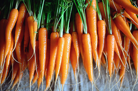 Dab1a71e6d94a826a3fb8bb62db9a4bd