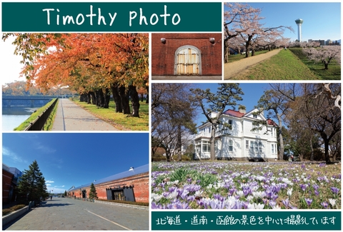 879ac8526667f722701620926629ee80