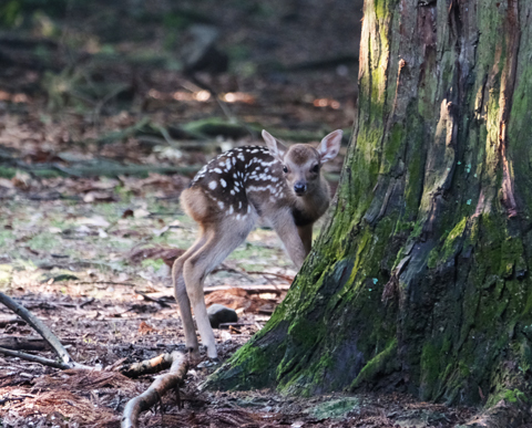 6087ef47e6cd0efc12052e85e8e4ff2a