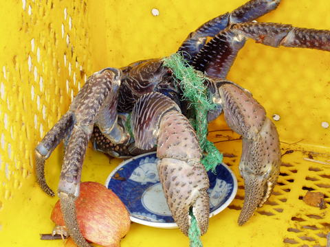 2e6d600dcd5e07eeaa14162d64b15fca