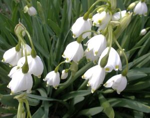 6cc9fc3b2bd191576f3febfeb505de32