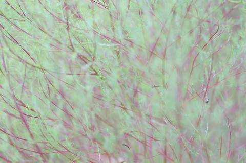 8b282dee70dbbfa578c92fff29467083