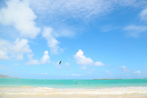 Dc5cf51a16443c44297e3c10b1c31992