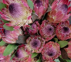 9b8c0bbb49e96f2434c9344209c115cc