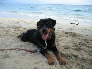 Abc67d9ab027193da7efdfb33f77fd35