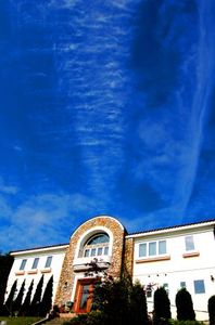 D1287a53fe067d7ef6f9987c0226b5ef