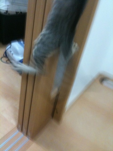 2572e74d73f1e65f781c68f299088657