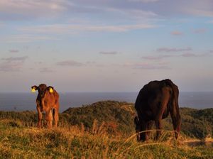 C52fe3dcf30246ec0121fb23cc9fd454