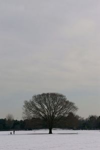 3fd9e115fa5d8f4b20c1e887043aaf71