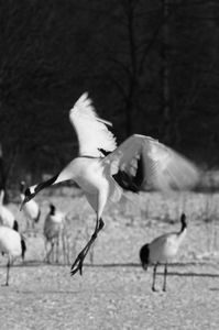 9ba3ca83f48ed78d4127cc7844c49af7