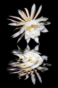 6985001b29a12c07368a602bebb8423d