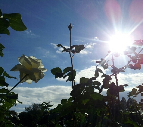 5c26d78925e36bb283ef13a3d3fd195c