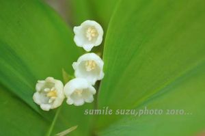 A3e07ce89a3f18765ebd09f04e4ff18f