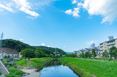 9689a74a81593c20acf17f6825a49b7d