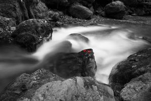 1ab7430ec2206ac44eef9516ef2c6a2a