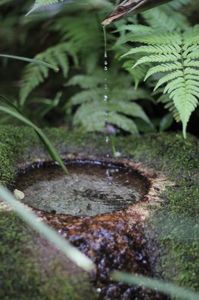 1976ea7682a5e11180d4e5882be597b5