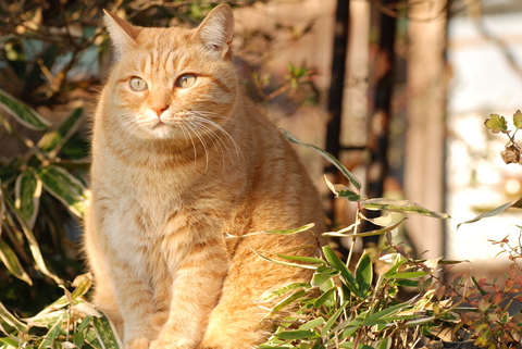 E1f7dac16b7ebb7e70fcc823d878a949