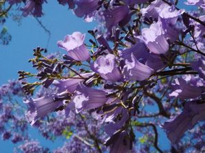 Bdb475bf4b6282af5e794e0bcc3a7759