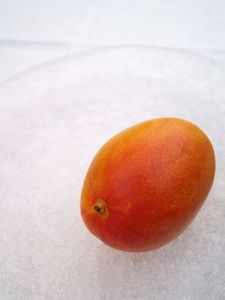 3bc3b237000ab4d9c42e41156c6f3e3c