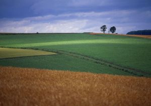 Bf1fd8d9db971a8b75d789b591d0dc7a