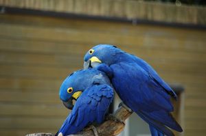 Dc28e569c187e2c0242fe7f6b67af61d