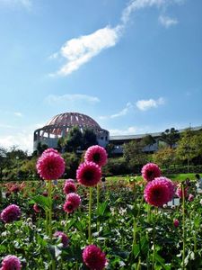 E74eb17f082d28ea776f9ca09535d185