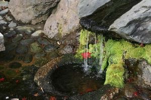 E6eee7a2abb26f64df7a066c57bf4685