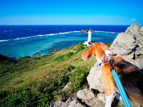 8802745736d4a2acec8c91ca6bb82a85