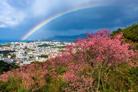 2010feddb1572007d98bd288159b6892