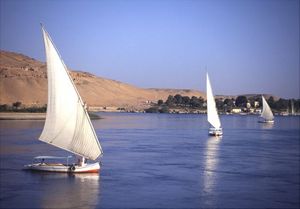 B3ec5476704397a73b0a25a20fe9332a