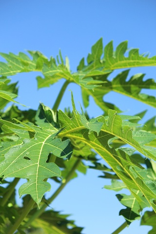 75b11050057c73998e63d35b24808007