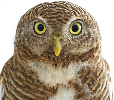 538fd246e91072e8dbfbb67dced82858