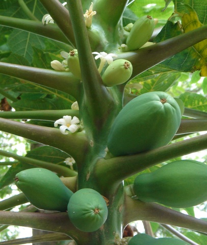 84b36a6a9279fc47e91d9eabf0b405c9