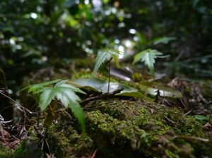 6dc7eafd80125acef491885f1ae9d058