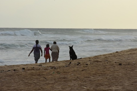 E398a2303694f84b5e4a483bfe5f42e5