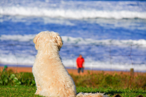 116d2e08cc90376cc611ad7638596280