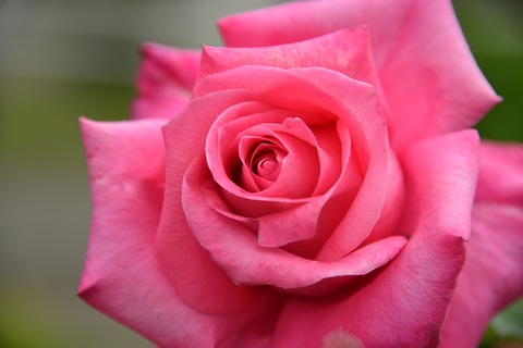 2fe6671a1ecd1d2685704deb45624811