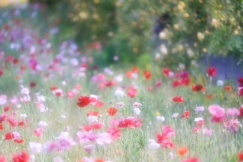 21075bc72d43e9ebdfea9a7015208472