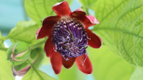 870d1d8383f1ef973b83a0f1bdbbde7b