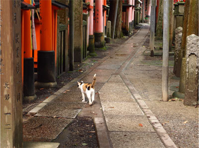 A42ff14f29edffa5a4b763b042d9c9b4