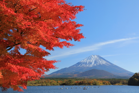 069a613664cb9ce5eb9fd9dfd25bed0b