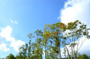 155f5b8b391588800af629ac2b5b1652