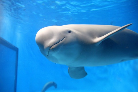 0f104fb6ffd52c3d141bc52e6a8a516b